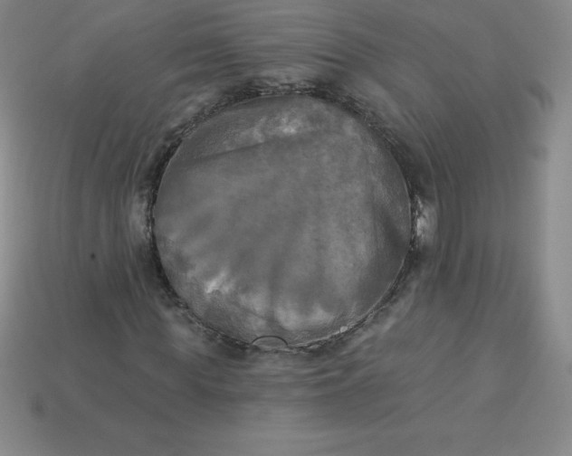 X0000113920819200910090934