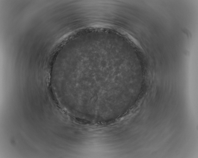 X0000113920821200910090934