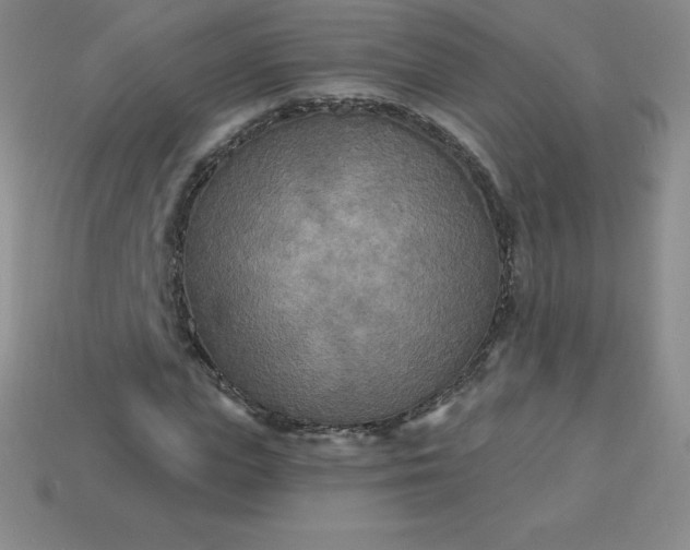 X0000113920823200910090934
