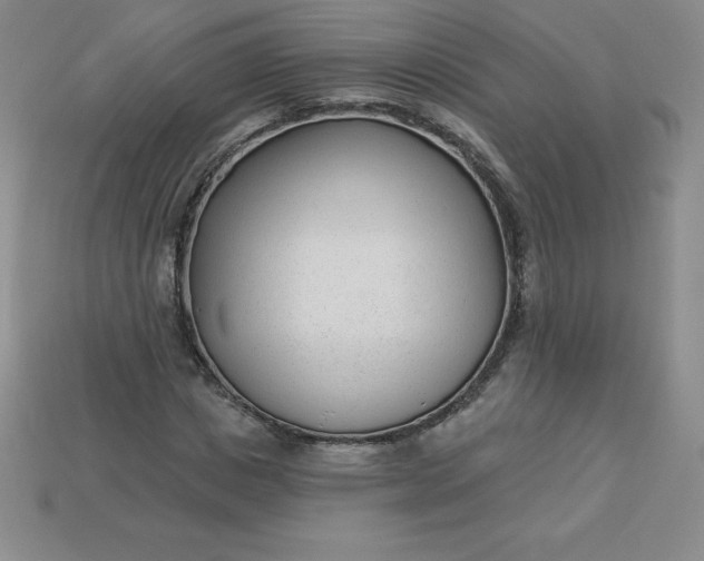 X0000113920825200910090934
