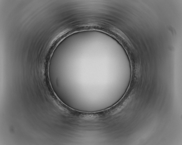 X0000113920826200910090934