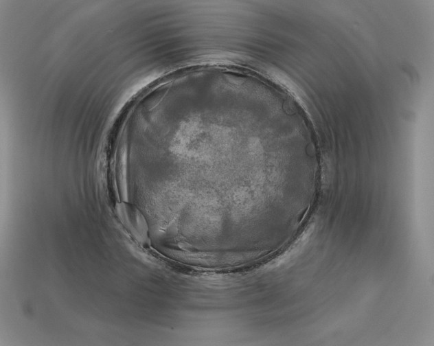 X0000113920827200910090934