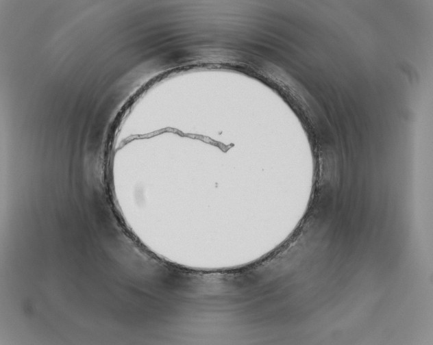 X0000113920828200910090934