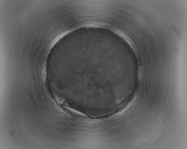 X0000113920829200910090934