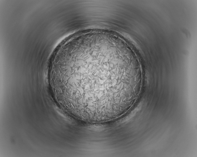 X0000113920830200910090934