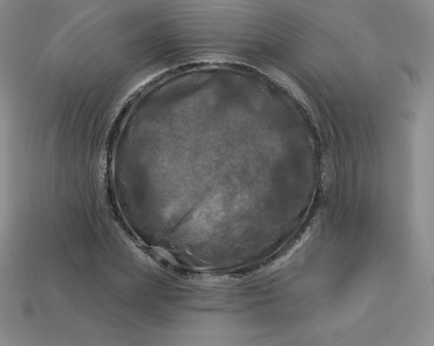 X0000113920831200910090934