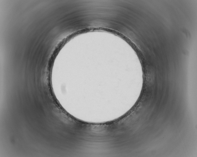 X0000113920832200910090934