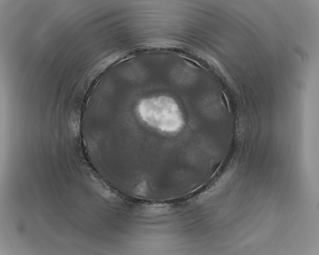 X0000113920833200910090934