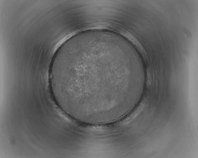 X0000113920834200910090934