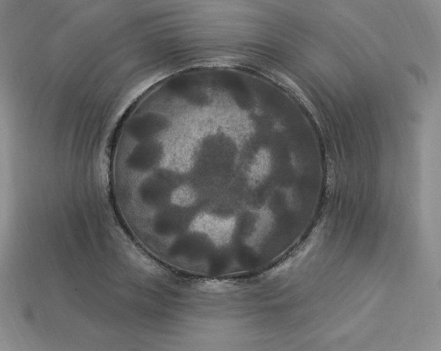 X0000113920835200910090934