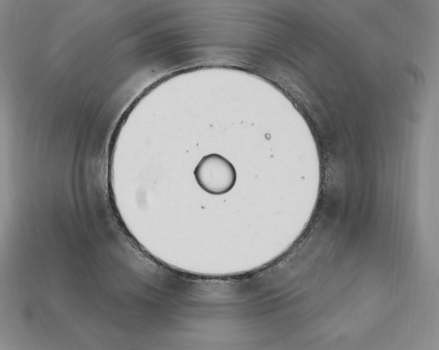 X0000113920836200910090934