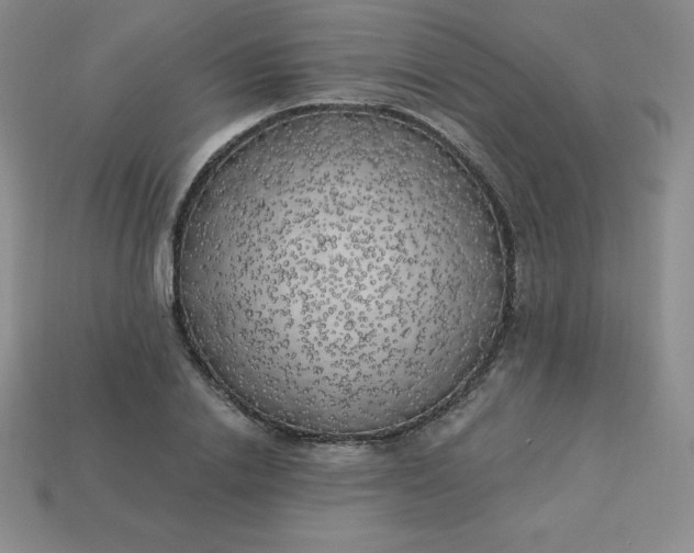 X0000113920838200910090934