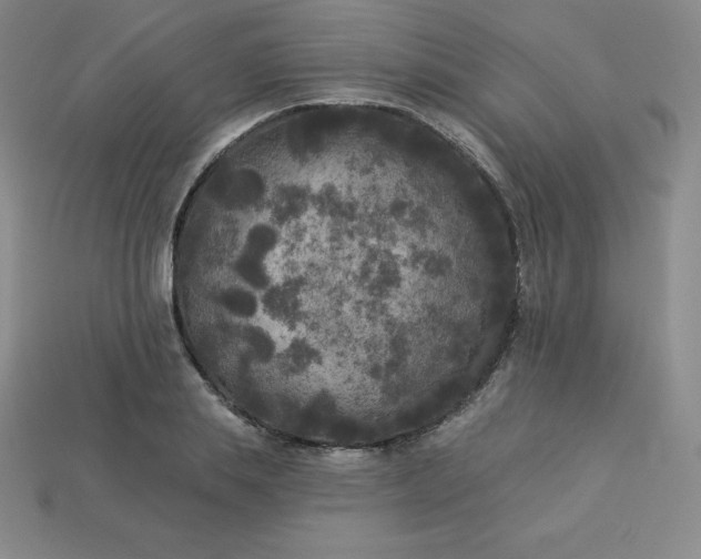 X0000113920839200910090934