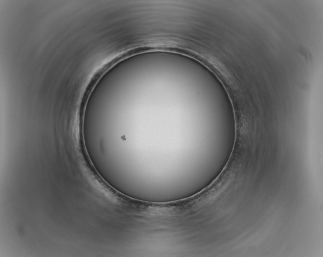 X0000113920840200910090934
