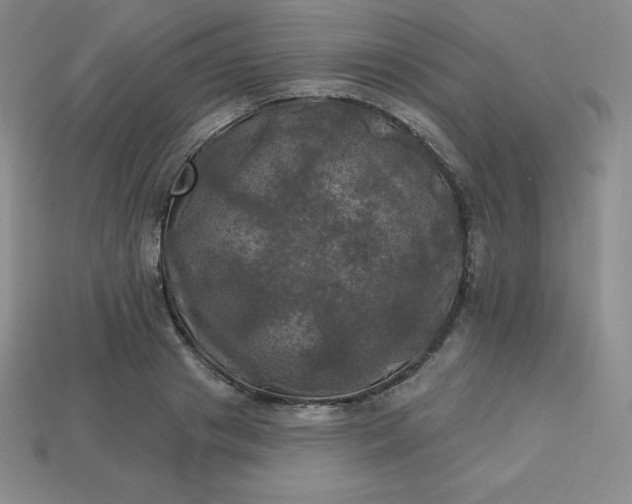 X0000113920841200910090934