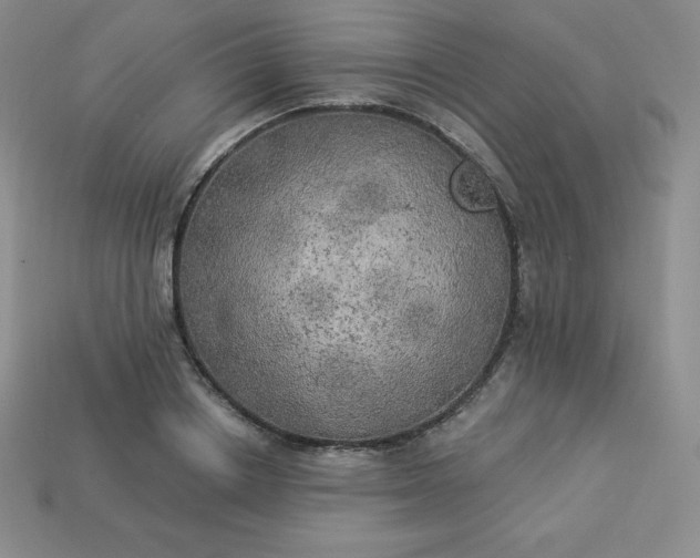 X0000113920842200910090934