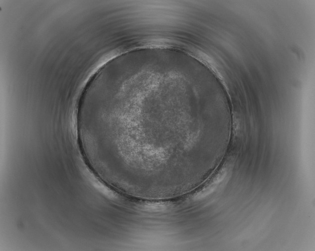 X0000113920843200910090934