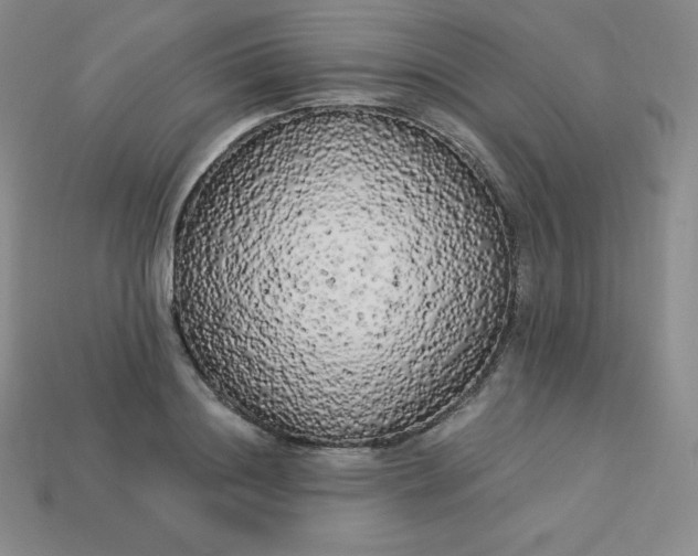 X0000113920844200910090934