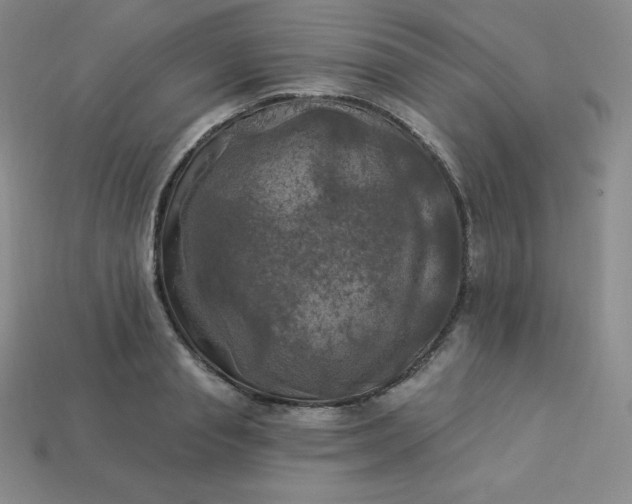 X0000113920845200910090934