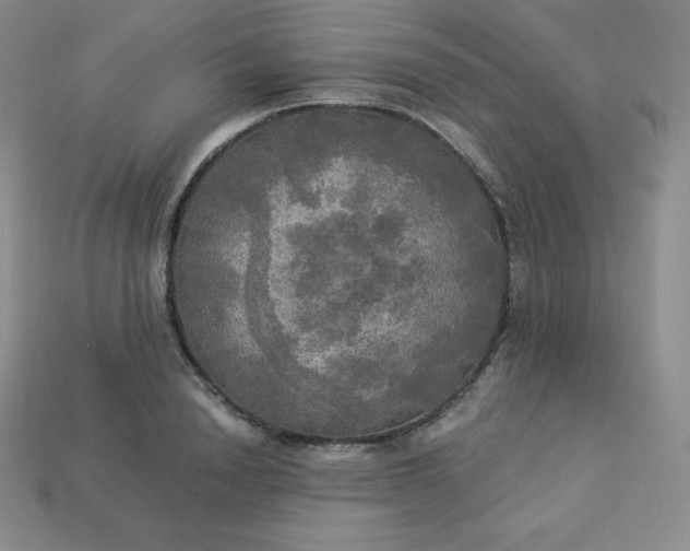 X0000113920846200910090934