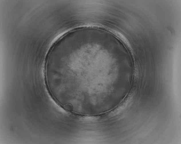X0000113920847200910090934