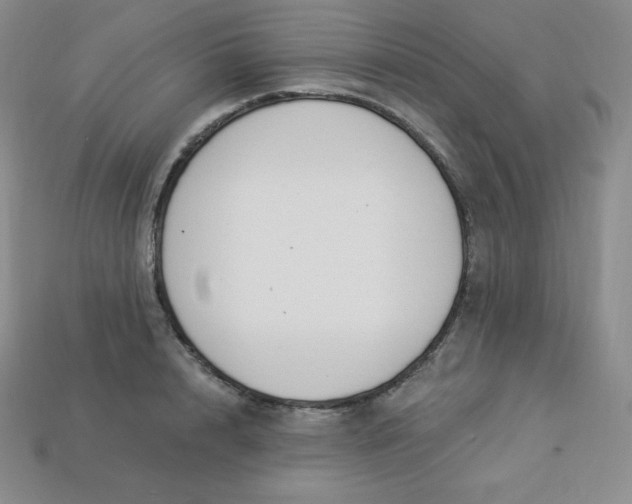 X0000113920848200910090934