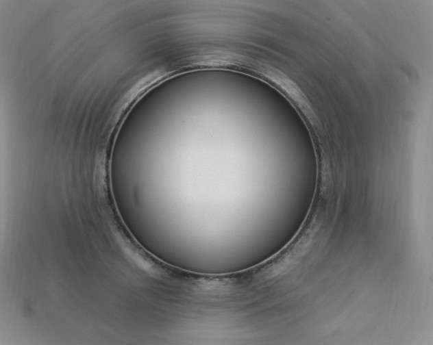 X0000113920850200910090934