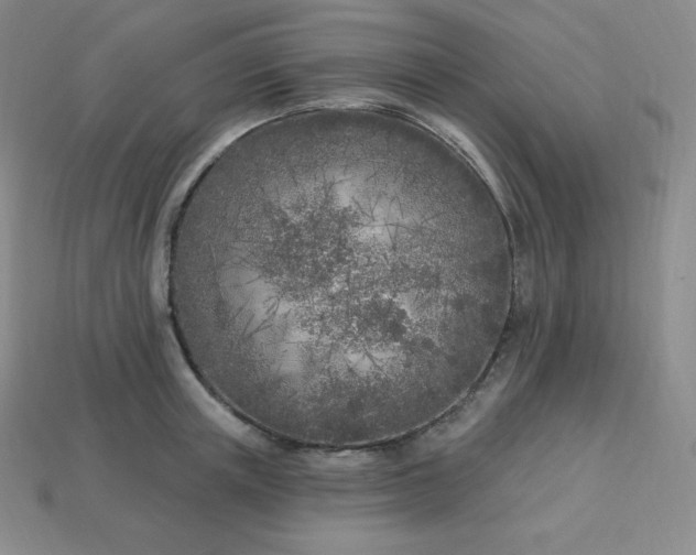 X0000113920851200910090934