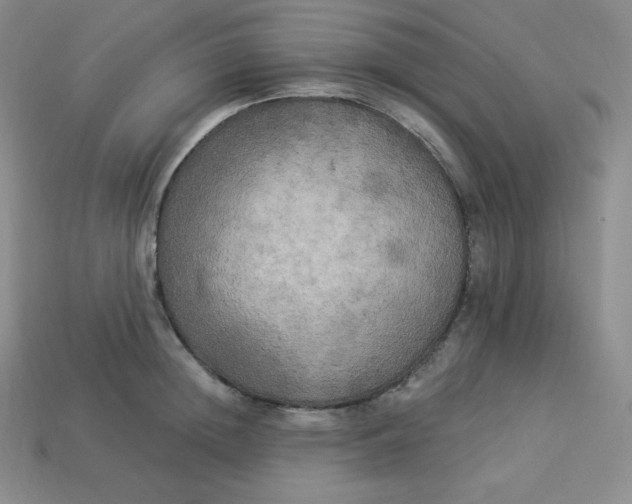 X0000113920852200910090934