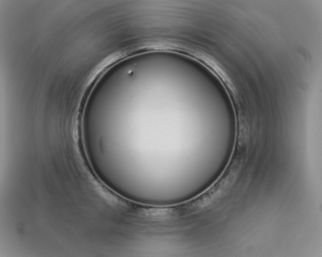 X0000113920853200910090934
