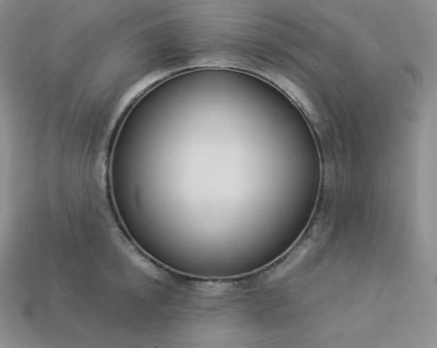 X0000113920854200910090934