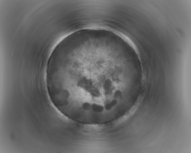 X0000113920855200910090934