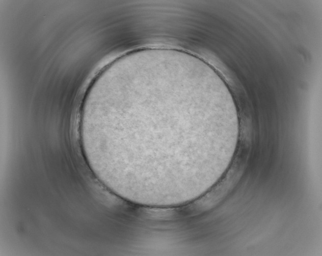 X0000113920856200910090934