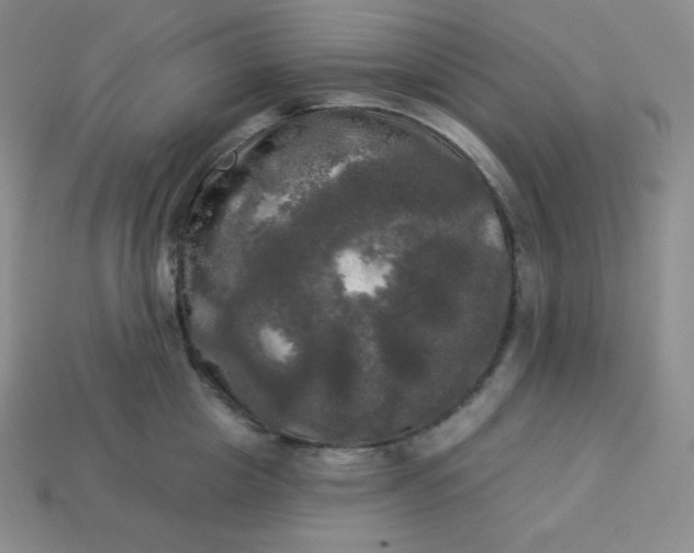 X0000113920857200910090934