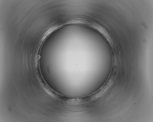 X0000113920858200910090935