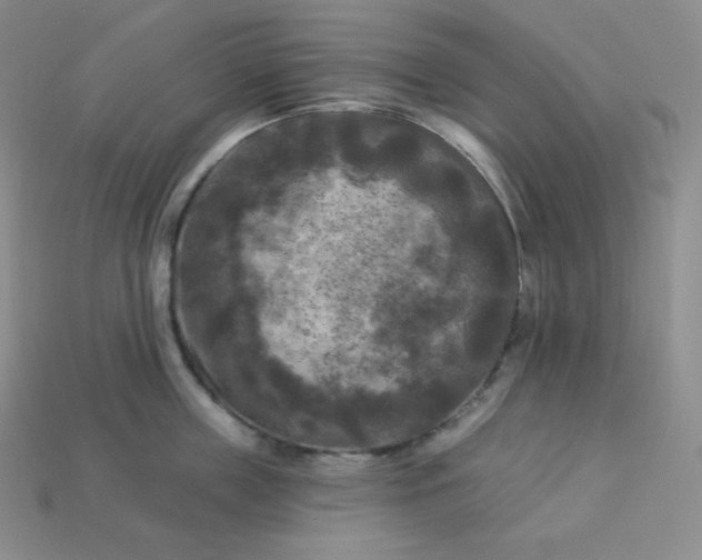 X0000113920859200910090935