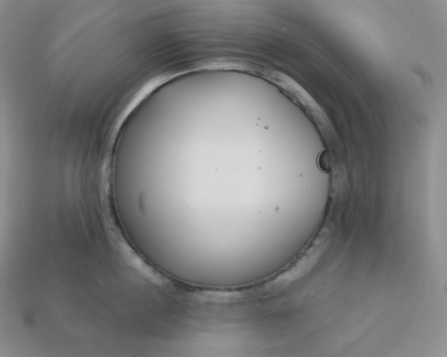 X0000113920860200910090935