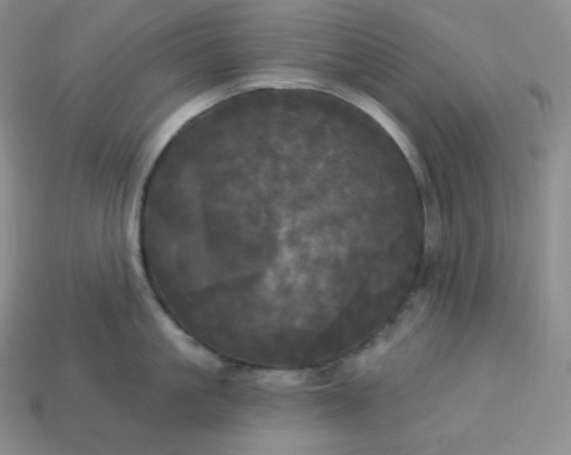 X0000113920861200910090935