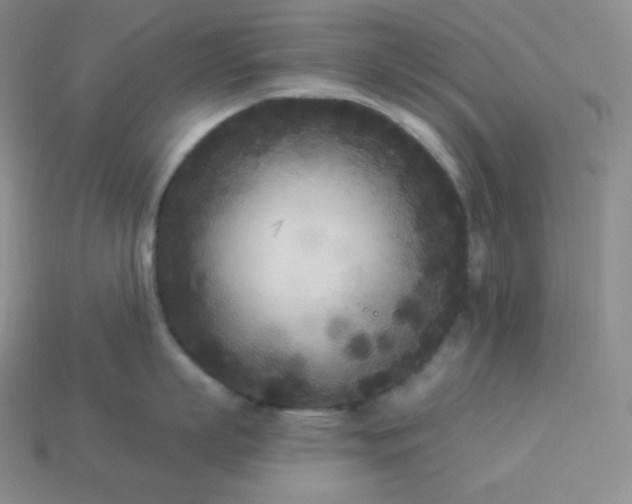 X0000113920863200910090935