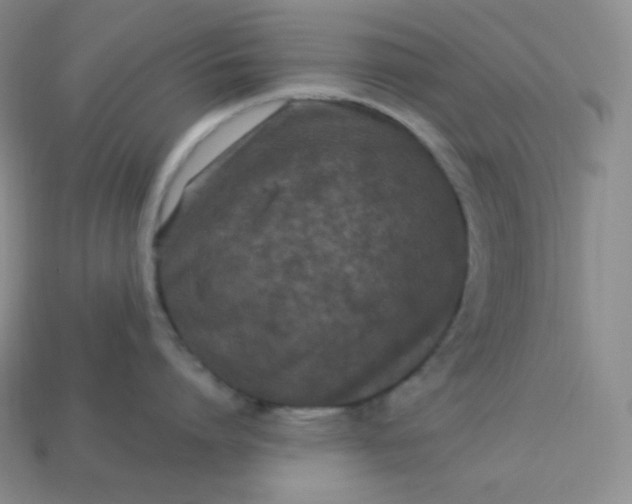 X0000113920864200910090935
