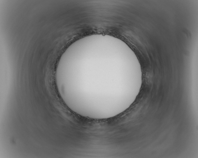 X0000113920865200910090934