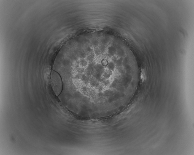 X0000113920867200910090934