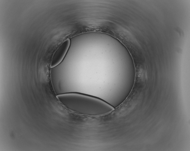 X0000113920868200910090934