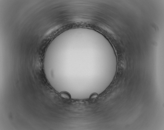 X0000113920869200910090934
