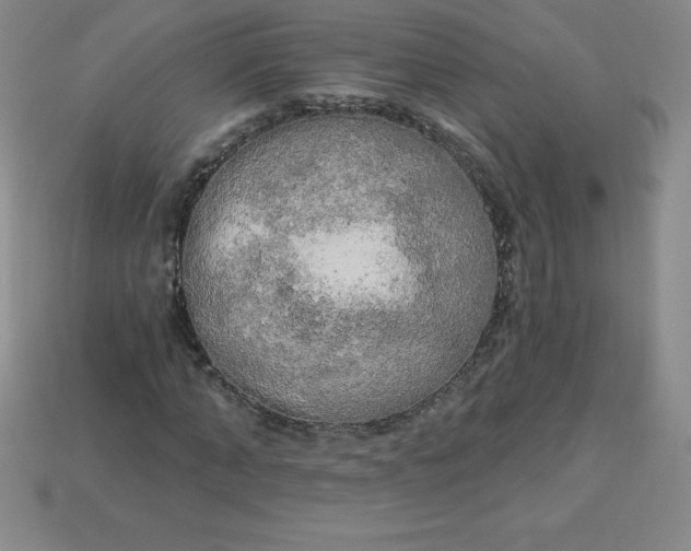 X0000113920870200910090934