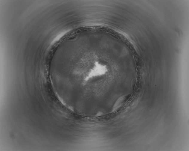 X0000113920871200910090934