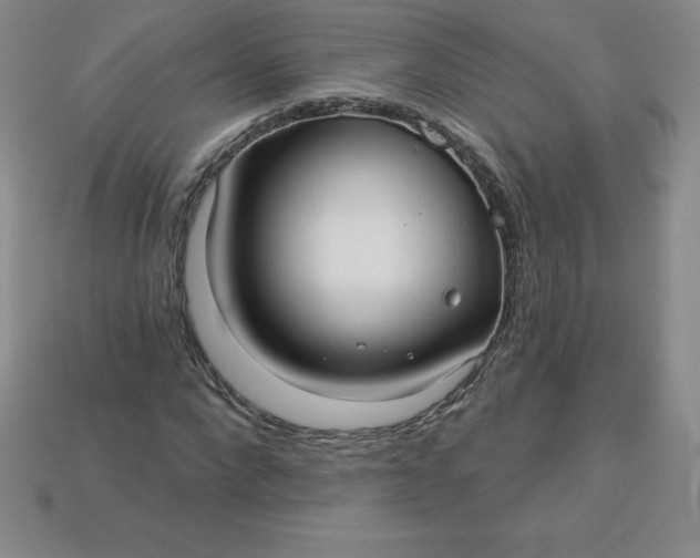 X0000113920872200910090934
