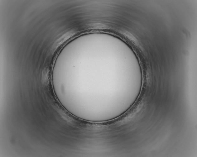X0000113920873200910090934