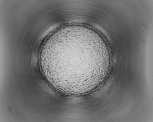 X0000113920874200910090934