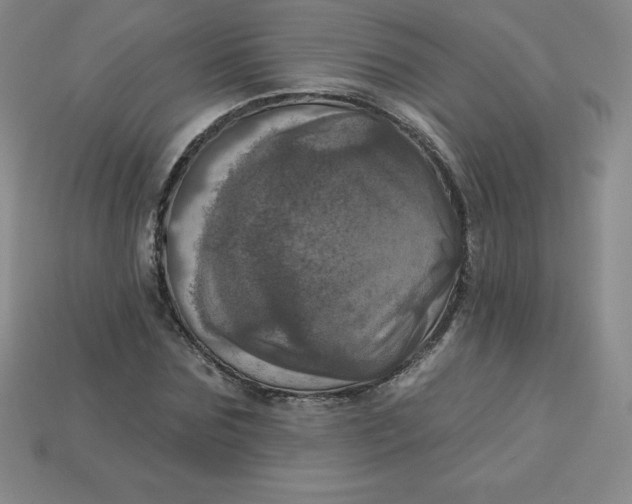 X0000113920875200910090934